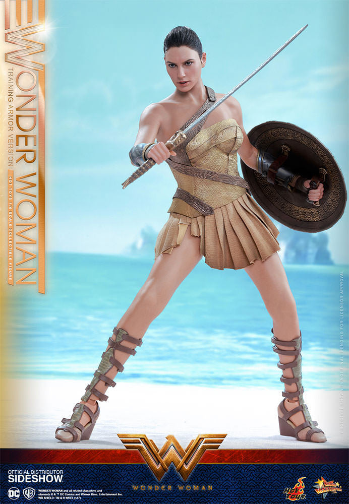 Load image into Gallery viewer, Hot Toys - Wonder Woman Training Armor Version
