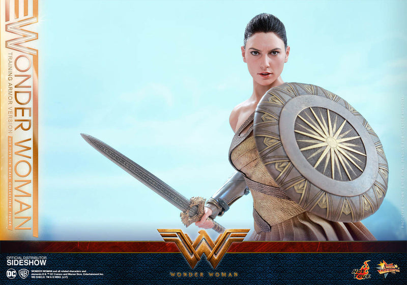 Load image into Gallery viewer, Hot Toys - Wonder Woman Training Armor Version
