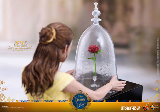 Hot Toys - Beauty and the Beast - Belle