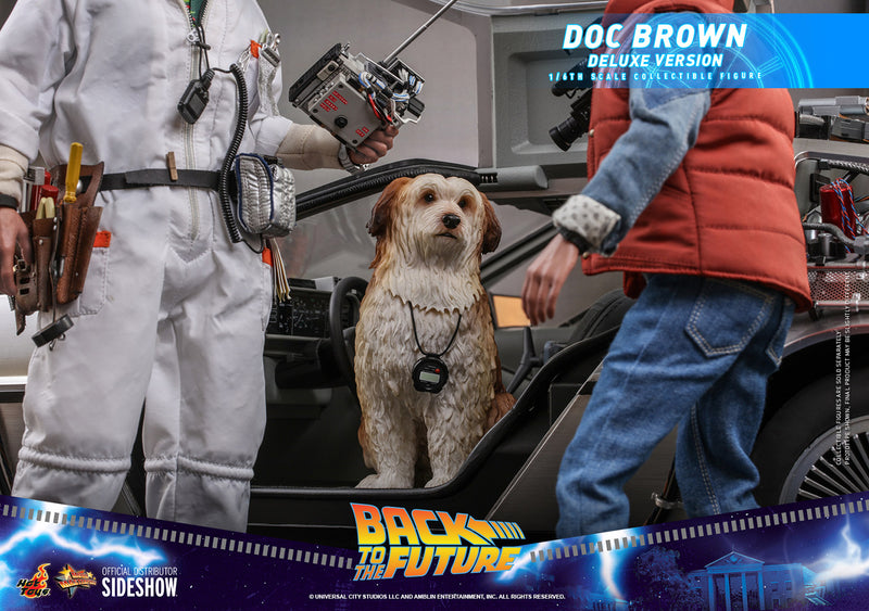 Load image into Gallery viewer, Hot Toys - Back to the Future: Doc Brown (Deluxe Vers.)
