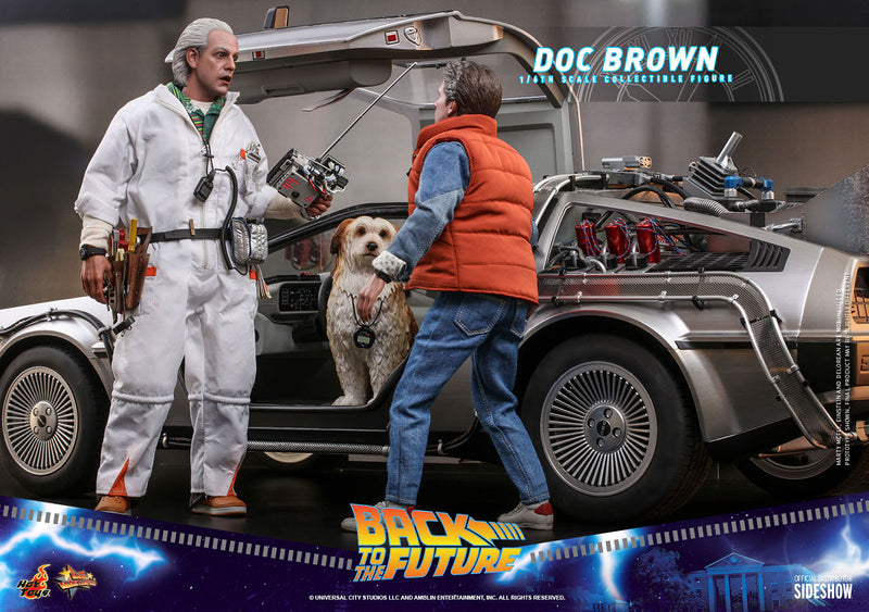 Load image into Gallery viewer, Hot Toys - Back to the Future: Doc Brown
