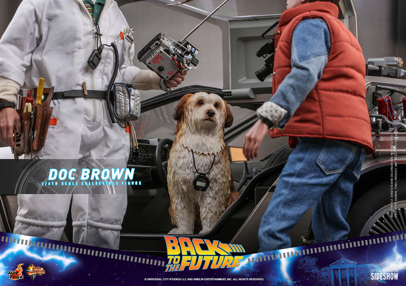 Load image into Gallery viewer, Hot Toys - Back to the Future: Doc Brown
