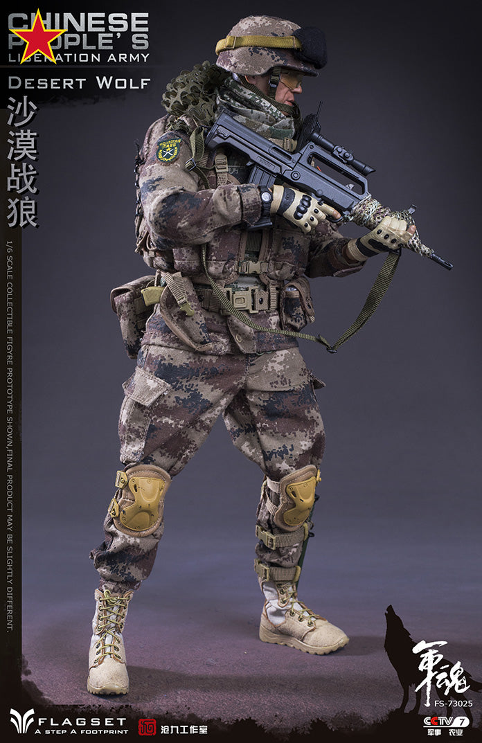 Load image into Gallery viewer, Flagset - Chinese People&#39;s Liberation Army Desert Wolf
