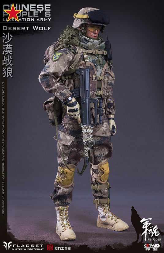 Flagset - Chinese People's Liberation Army Desert Wolf