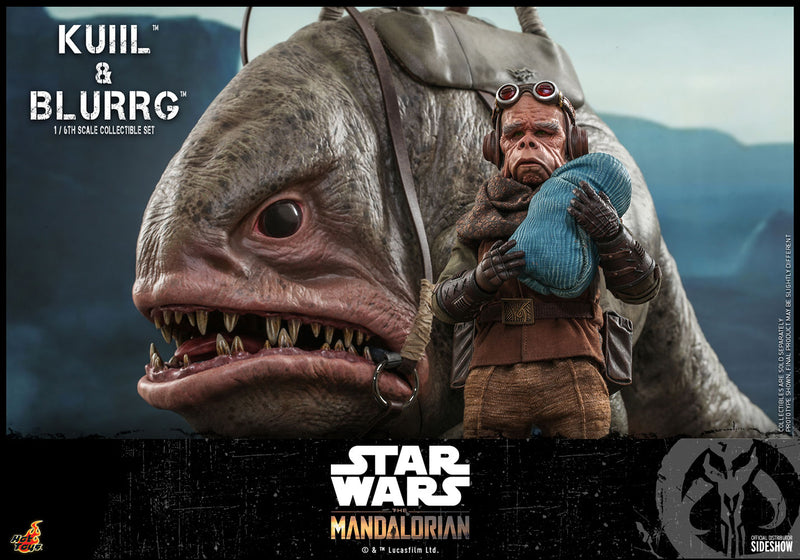 Load image into Gallery viewer, Hot Toys - Star Wars The Mandalorian - Kuiil and Blurrg Set (Restock)
