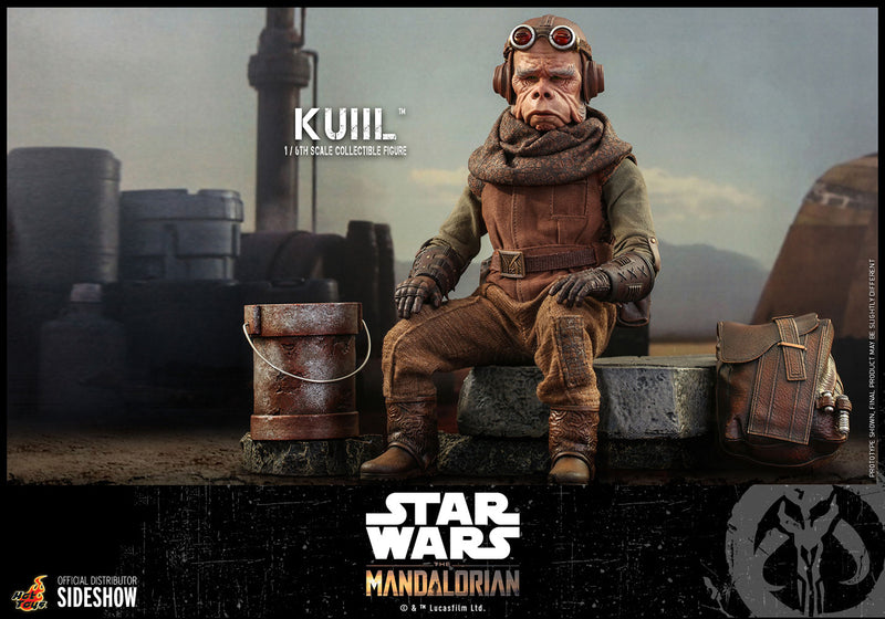 Load image into Gallery viewer, Hot Toys - Star Wars The Mandalorian - Kuiil
