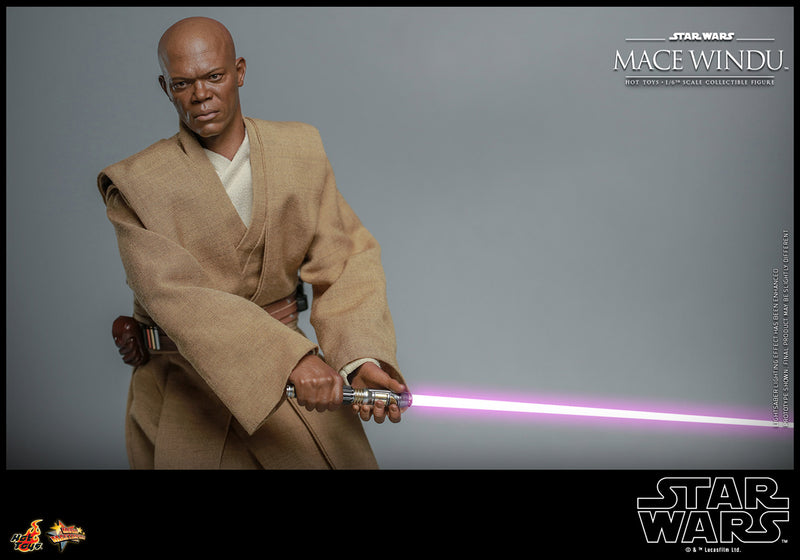 Load image into Gallery viewer, Hot Toys - Star Wars: Attack of the Clones - Mace Windu

