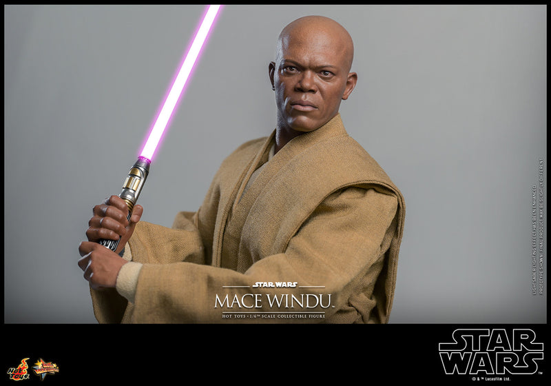 Load image into Gallery viewer, Hot Toys - Star Wars: Attack of the Clones - Mace Windu
