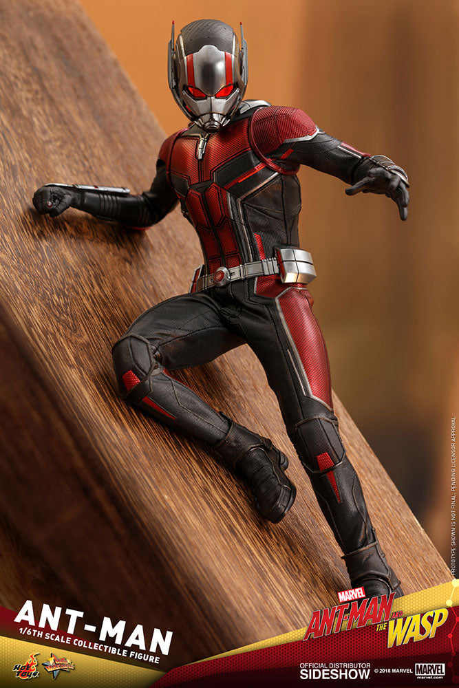 Load image into Gallery viewer, Hot Toys - Ant-Man and the Wasp: Ant-Man
