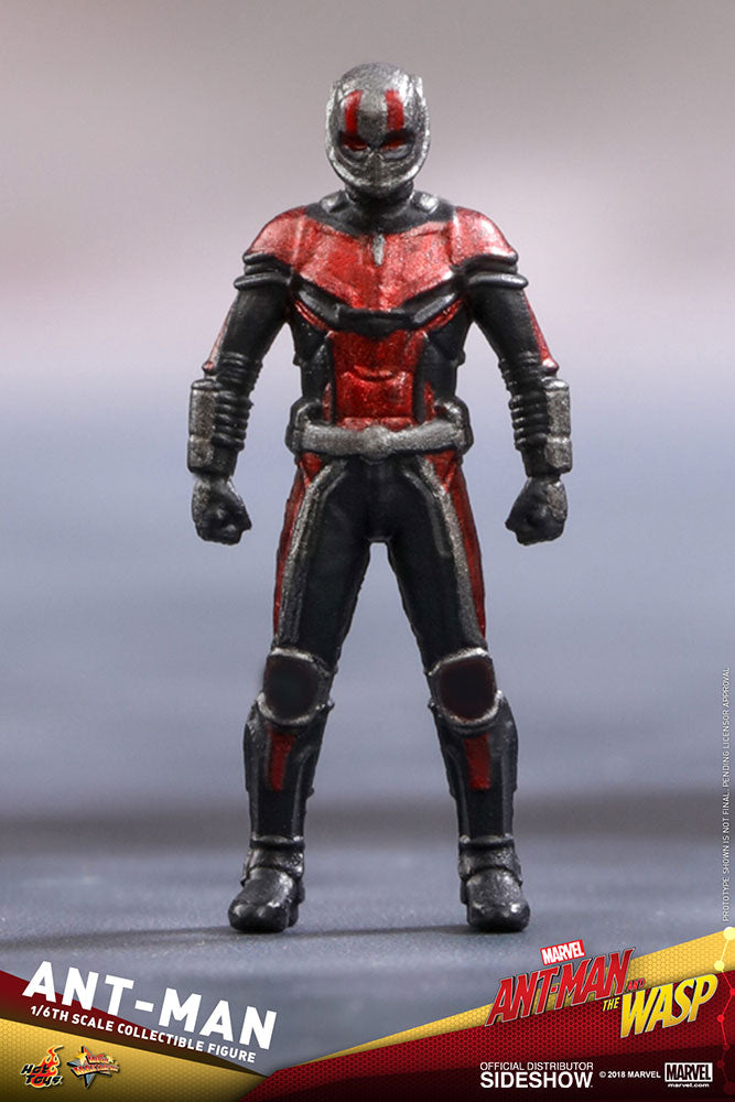 Load image into Gallery viewer, Hot Toys - Ant-Man and the Wasp: Ant-Man
