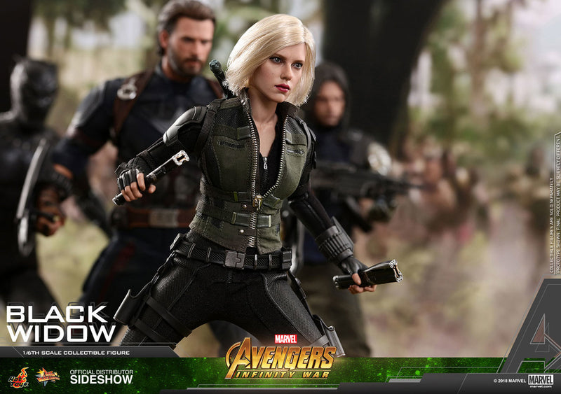 Load image into Gallery viewer, Hot Toys - Avengers: Infinity War - Black Widow
