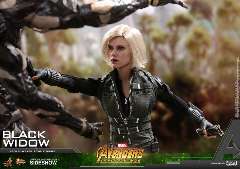Load image into Gallery viewer, Hot Toys - Avengers: Infinity War - Black Widow
