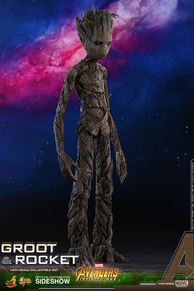 Load image into Gallery viewer, Hot Toys - Avengers: Infinity War - Groot and Rocket
