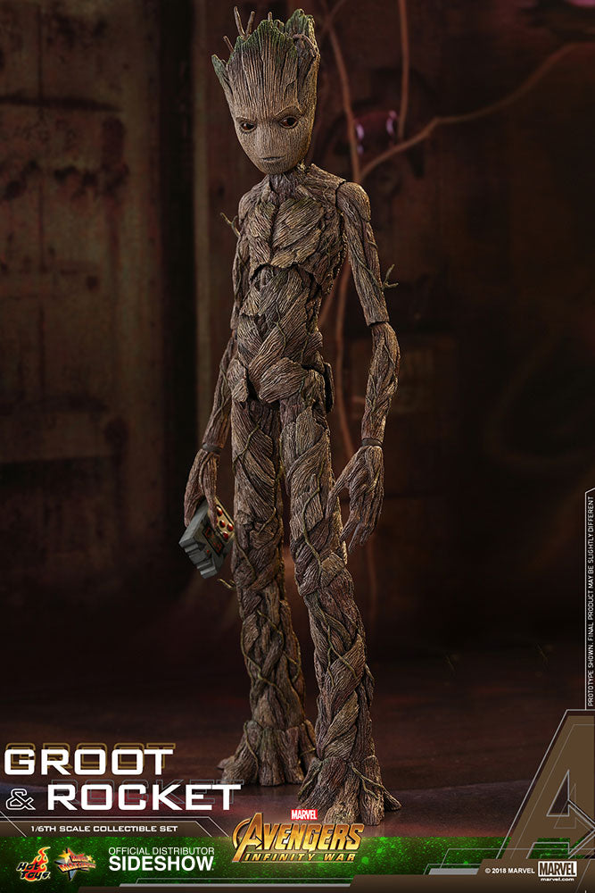 Load image into Gallery viewer, Hot Toys - Avengers: Infinity War - Groot and Rocket
