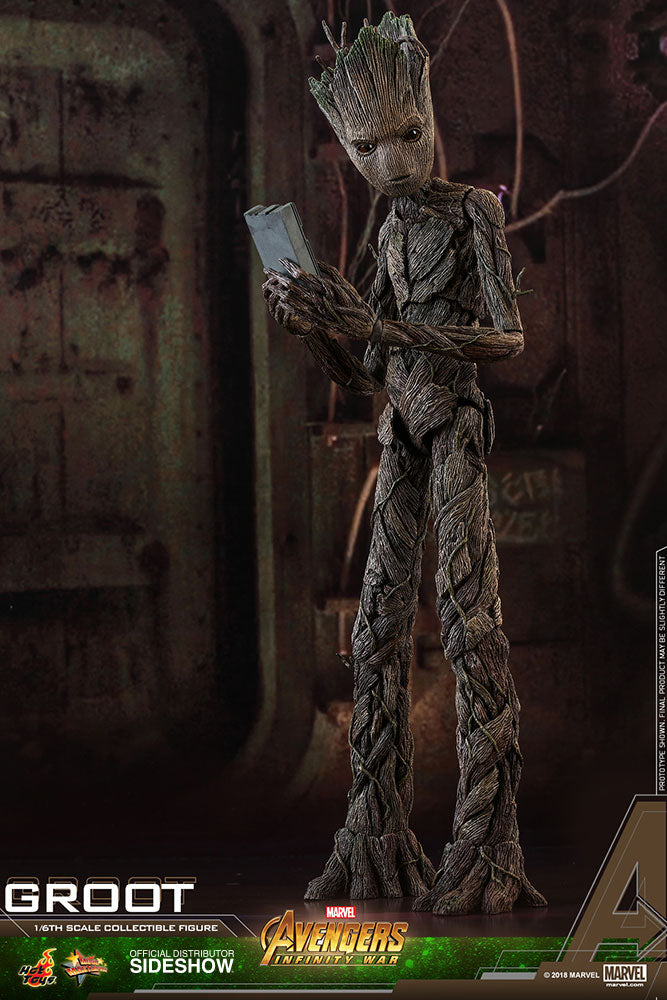 Load image into Gallery viewer, Hot Toys - Avengers: Infinity War - Groot

