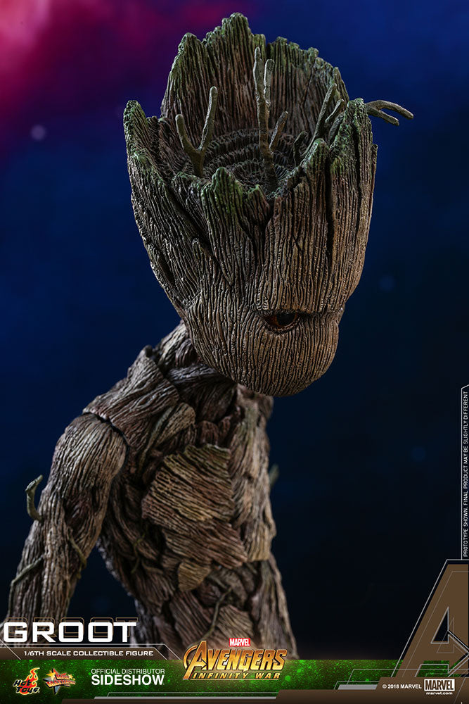 Load image into Gallery viewer, Hot Toys - Avengers: Infinity War - Groot
