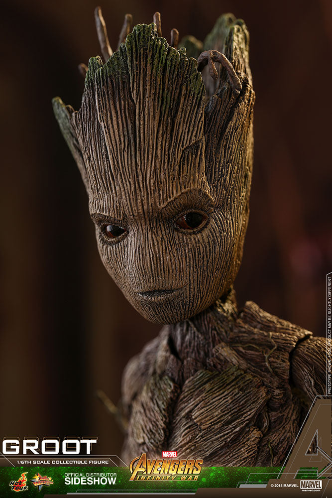 Load image into Gallery viewer, Hot Toys - Avengers: Infinity War - Groot
