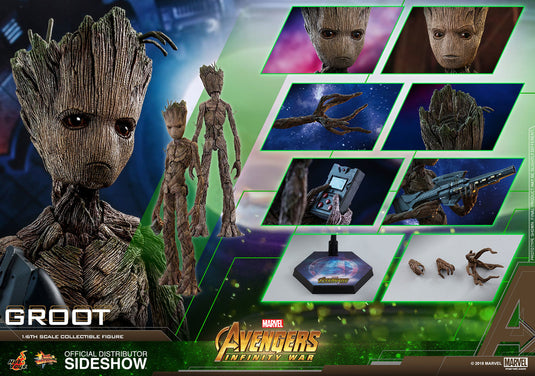 Hot Toys - Avengers: Infinity War - Groot