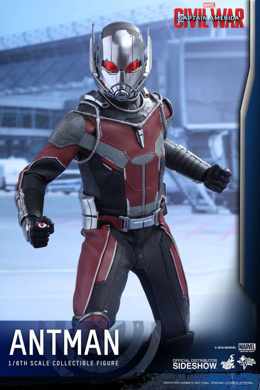 Hot Toys - Captain America: Civil War - Ant-Man