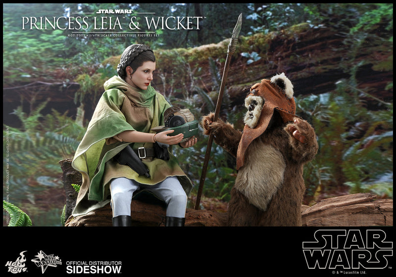 Load image into Gallery viewer, Hot Toys - Star Wars: Return of the Jedi - Princess Leia &amp; Wicket Set
