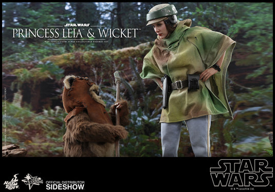 Hot Toys - Star Wars: Return of the Jedi - Princess Leia & Wicket Set