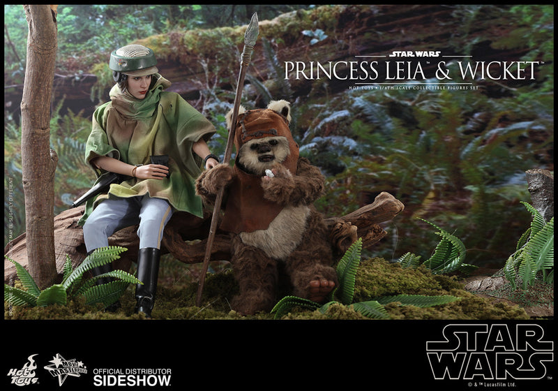 Load image into Gallery viewer, Hot Toys - Star Wars: Return of the Jedi - Princess Leia &amp; Wicket Set
