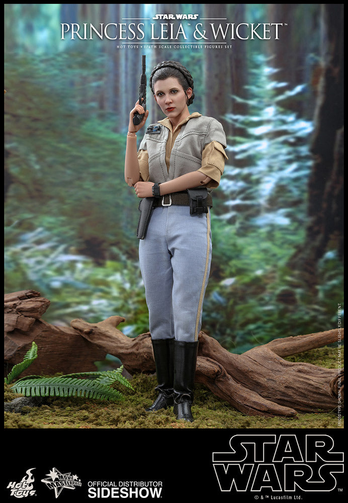 Load image into Gallery viewer, Hot Toys - Star Wars: Return of the Jedi - Princess Leia &amp; Wicket Set
