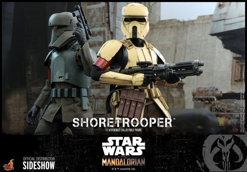 Load image into Gallery viewer, Hot Toys - Star Wars The Mandalorian - Shoretrooper
