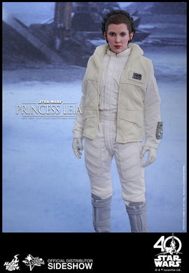 Hot Toys - Episode V: The Empire Strikes Back - Princess Leia