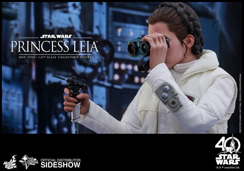 Load image into Gallery viewer, Hot Toys - Episode V: The Empire Strikes Back - Princess Leia

