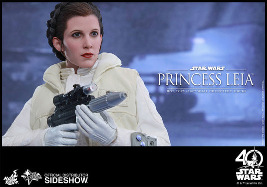 Hot Toys - Episode V: The Empire Strikes Back - Princess Leia