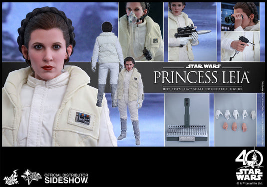 Hot Toys - Episode V: The Empire Strikes Back - Princess Leia