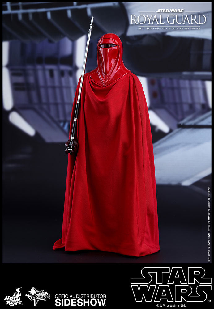 Load image into Gallery viewer, Hot Toys - Episode VI Return of the Jedi - Royal Guard
