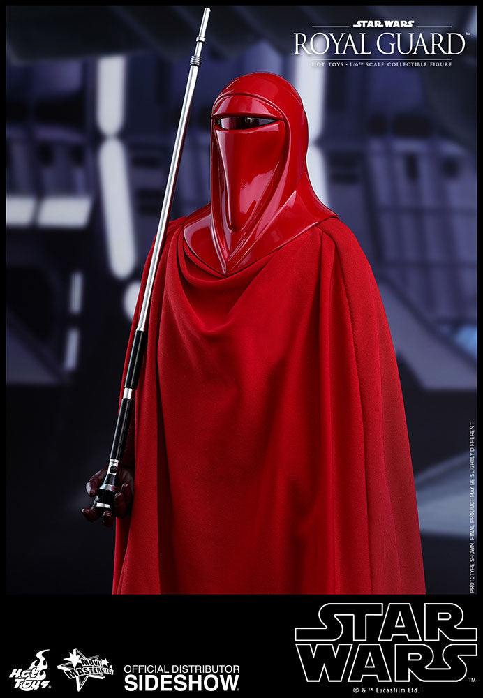 Load image into Gallery viewer, Hot Toys - Episode VI Return of the Jedi - Royal Guard
