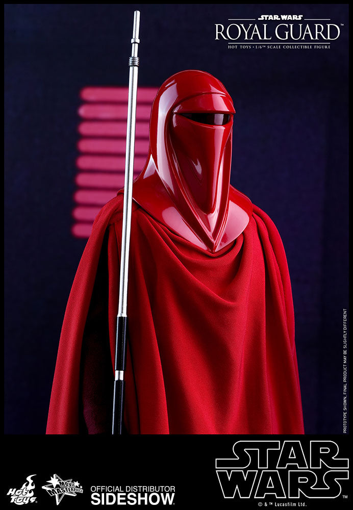 Load image into Gallery viewer, Hot Toys - Episode VI Return of the Jedi - Royal Guard
