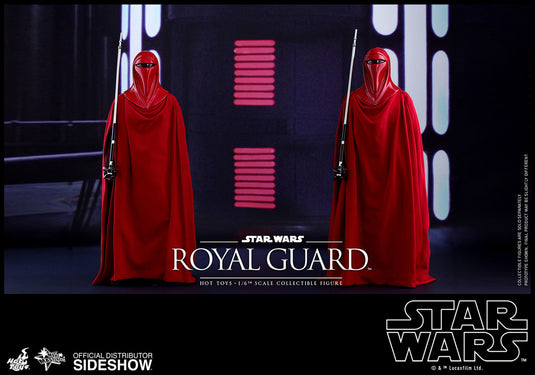 Hot Toys - Episode VI Return of the Jedi - Royal Guard