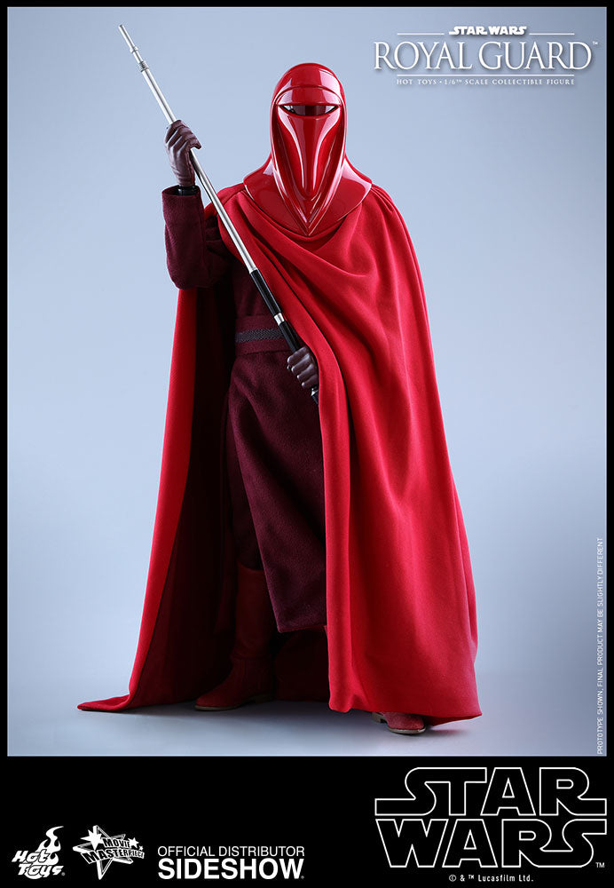 Load image into Gallery viewer, Hot Toys - Episode VI Return of the Jedi - Royal Guard
