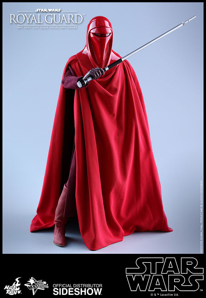 Load image into Gallery viewer, Hot Toys - Episode VI Return of the Jedi - Royal Guard
