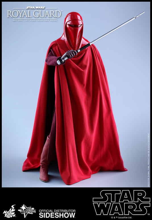 Hot Toys - Episode VI Return of the Jedi - Royal Guard