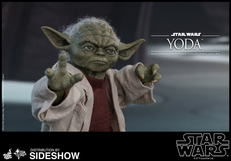 Load image into Gallery viewer, Hot Toys - Star Wars: Episode II - Attack of the Clones - Yoda
