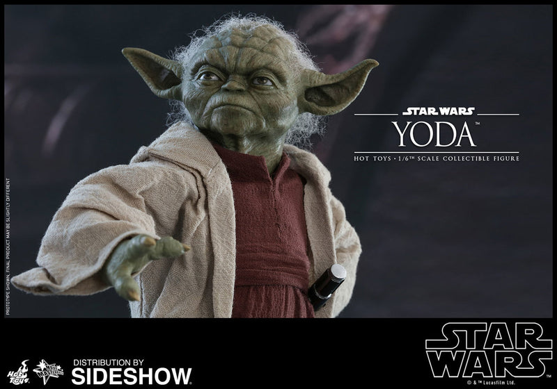 Load image into Gallery viewer, Hot Toys - Star Wars: Episode II - Attack of the Clones - Yoda
