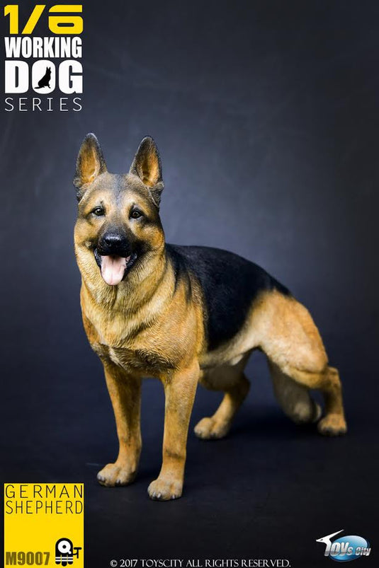 Toys City - Working Dog Series - German Shepherd