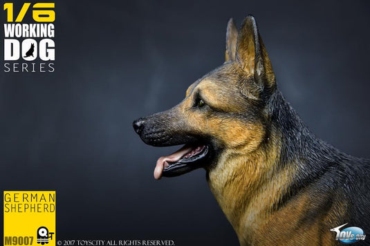 Toys City - Working Dog Series - German Shepherd