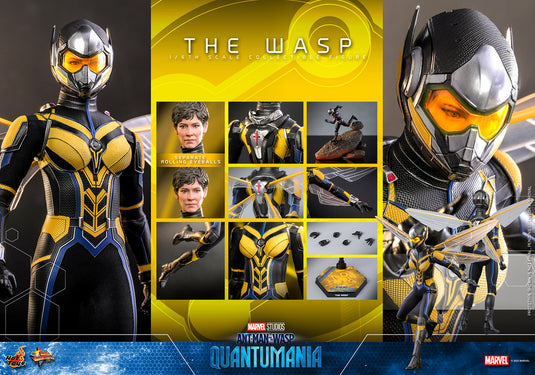 Hot Toys - Ant-Man and The Wasp Quantumania: The Wasp