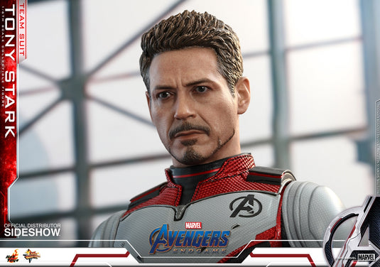 Hot Toys - Avengers Endgame: Tony Stark (Team Suit)