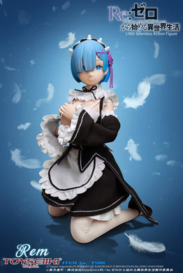 Toyseiiki - RE:ZERO - Starting Life In Another World: Rem