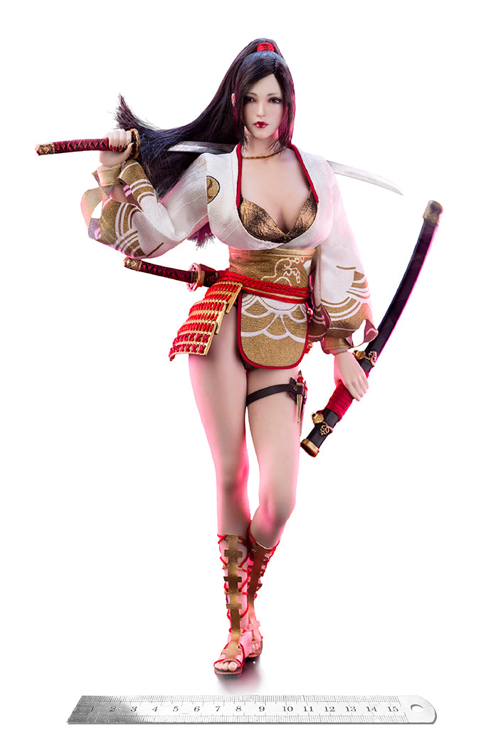Load image into Gallery viewer, Very Cool - Ancient Japanese Heroine Series Nōhime
