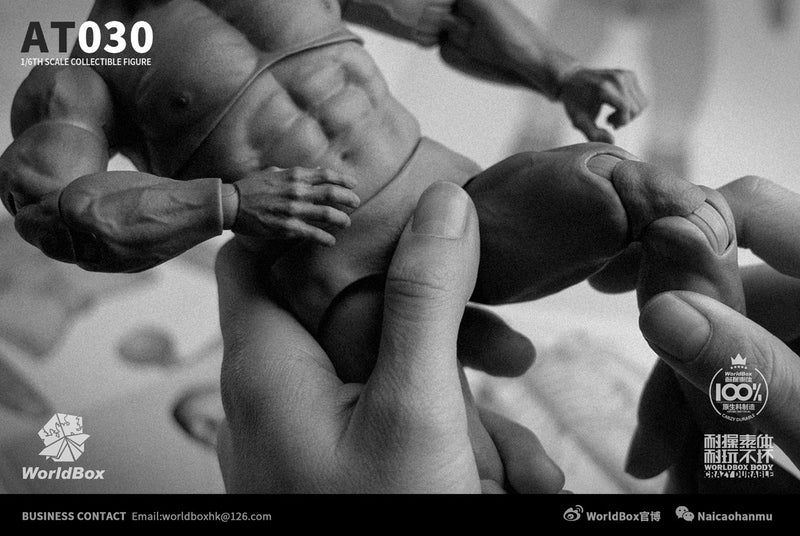 Load image into Gallery viewer, World Box - AT030 - Durable Strong Body AT030
