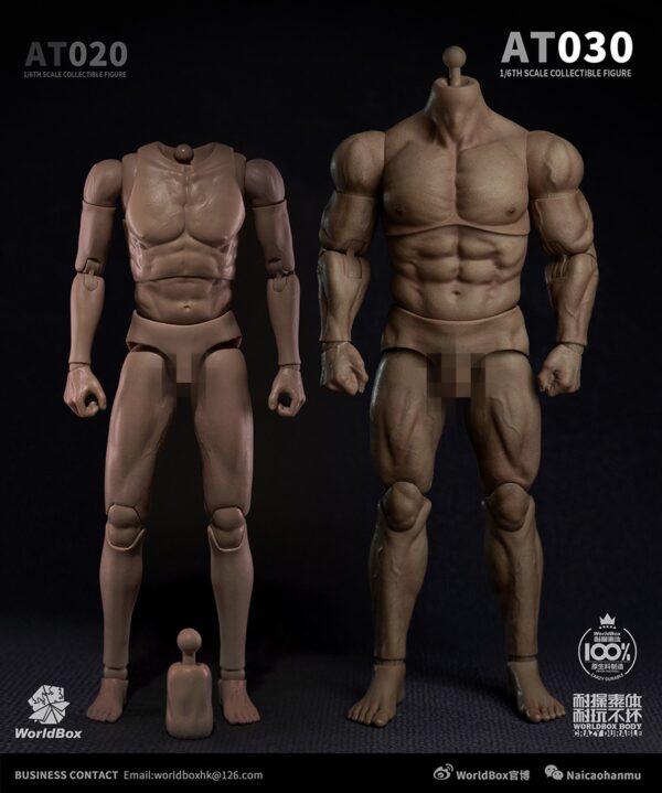 Load image into Gallery viewer, World Box - AT030 - Durable Strong Body AT030
