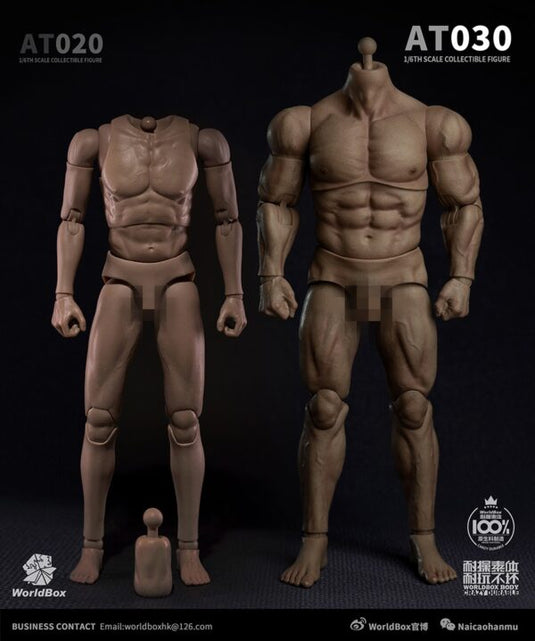 World Box - AT030 - Durable Strong Body AT030
